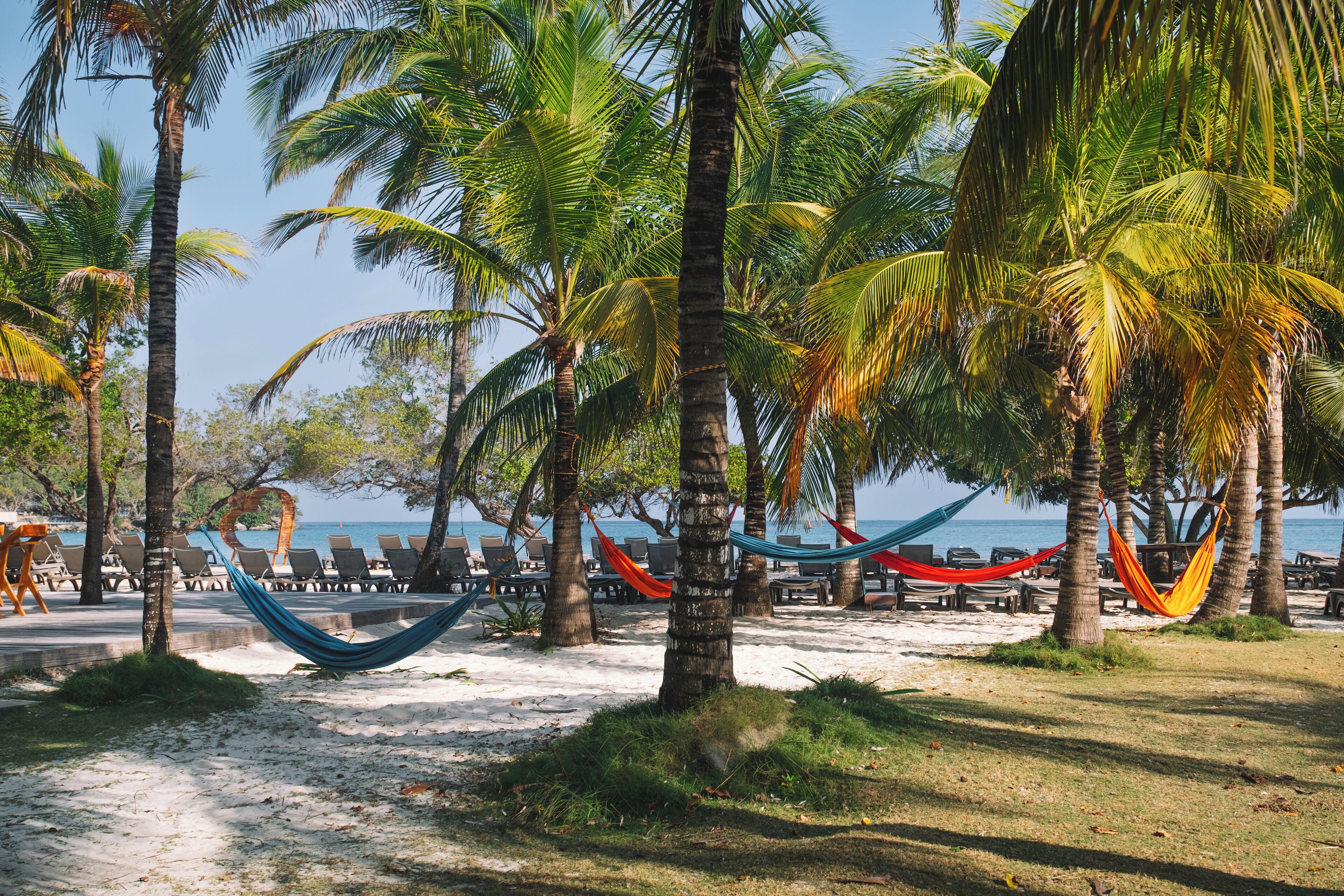 Ein Strand mit Palmen, Hängematten und Liegestühlen.