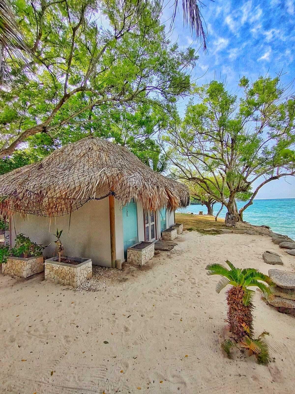 Eine Reetdachhütte mit Blick aufs Meer, umgeben von Bäumen und Pflanzen.