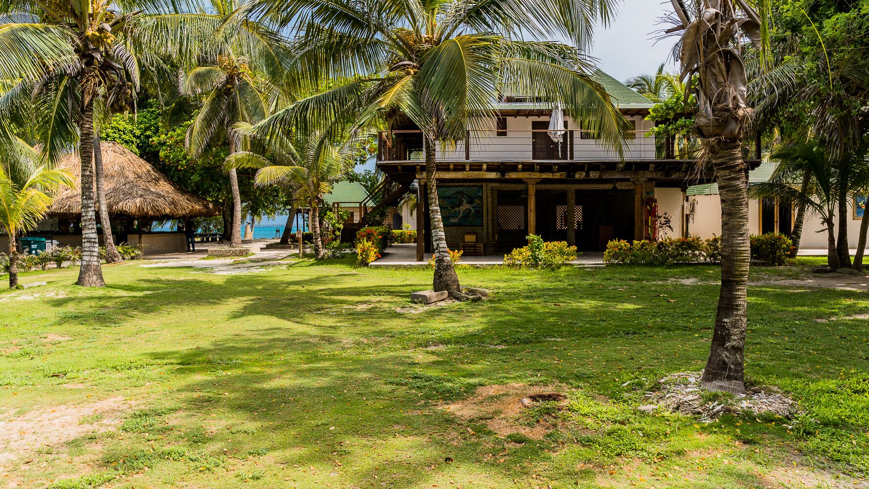 A tropical resort with a thatched-roof hut, palm trees, and a building with a green roof.