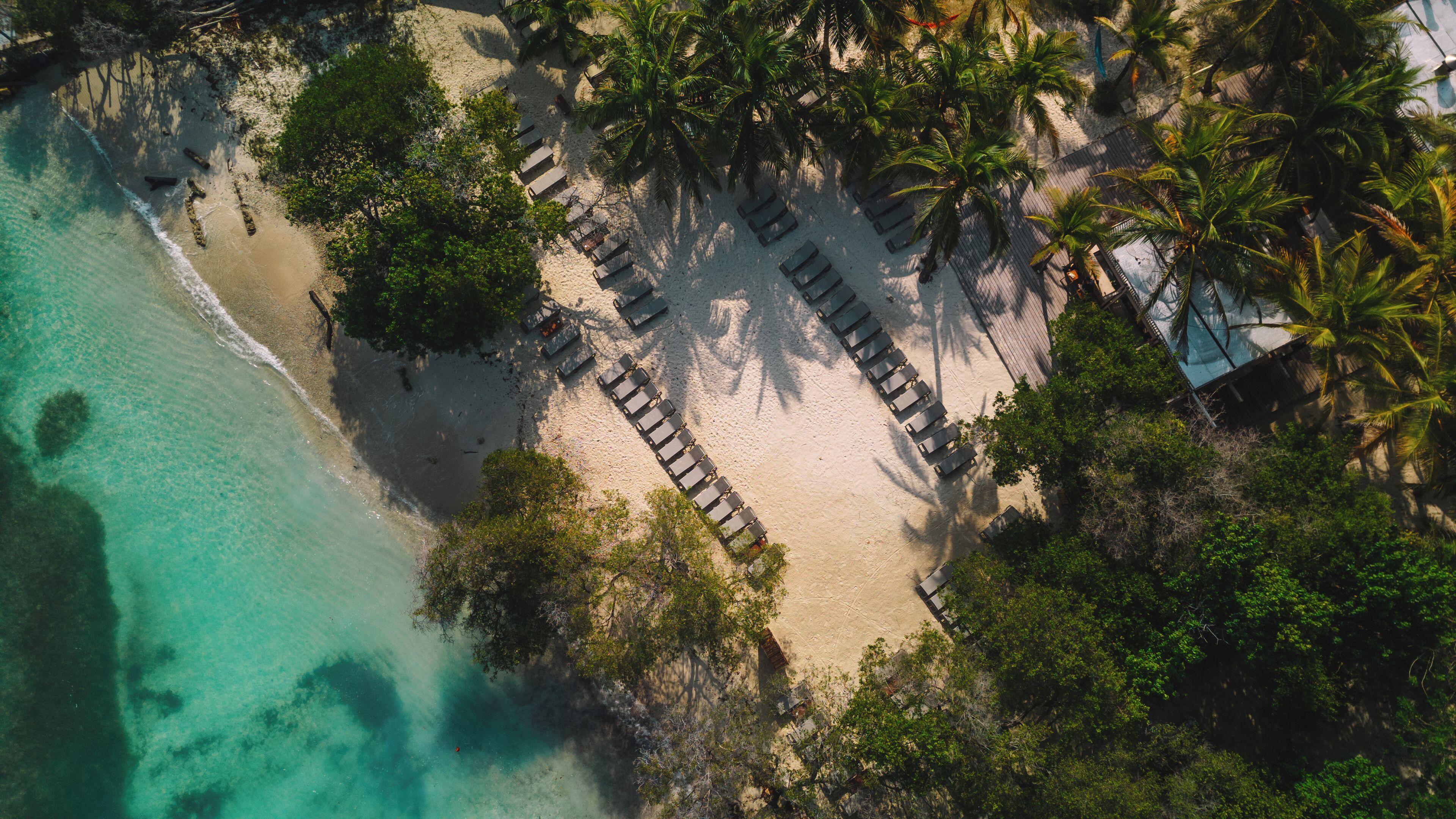 Vue aérienne d’une plage où des chaises longues sont disposées en rangées, entourées de palmiers et bordée par une mer turquoise aux eaux limpides.