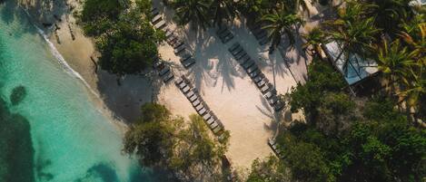 Vista aérea de una playa con sillas de descanso dispuestas en filas, rodeada de palmeras y un mar turquesa cristalino.