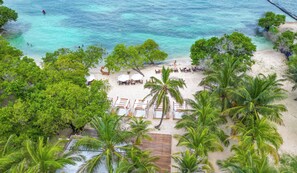 Une plage bordée de palmiers, avec des chaises longues et des parasols.