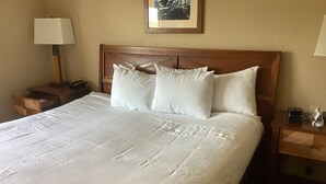 1 chambre, coffres-forts dans les chambres, Wi-Fi gratuit