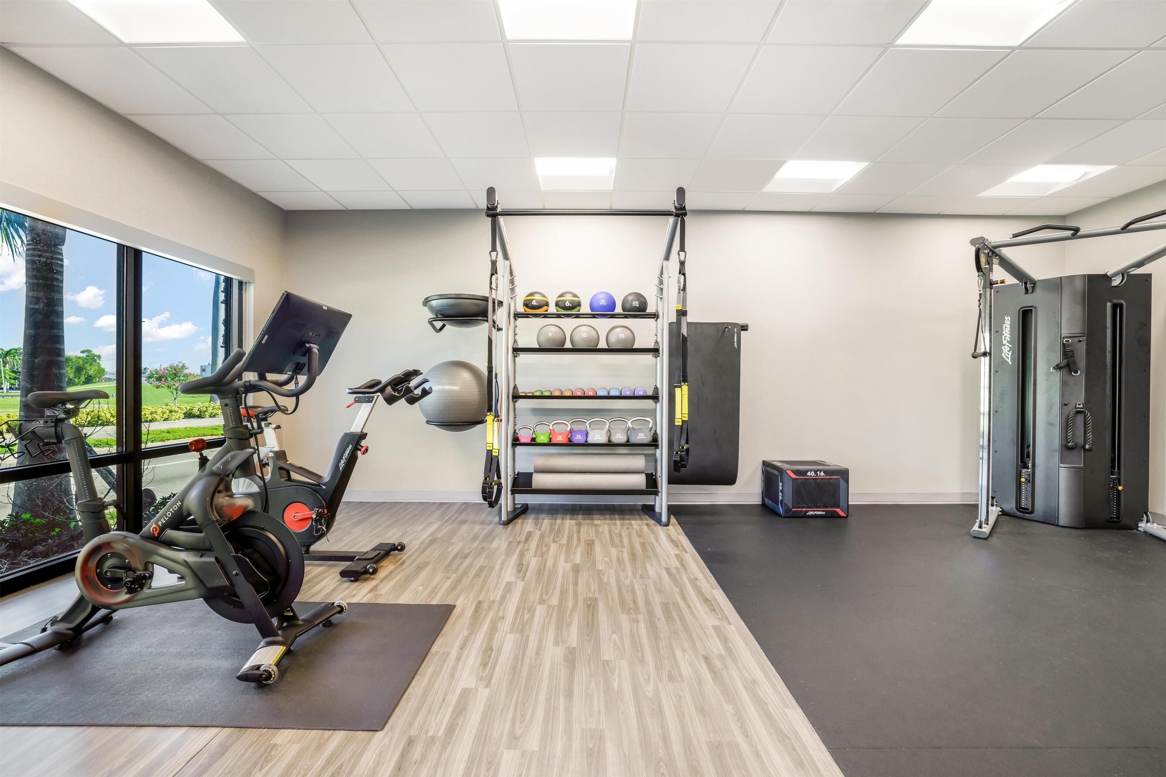 A gym with exercise equipment, a pull-up bar, and a window with a view of greenery.