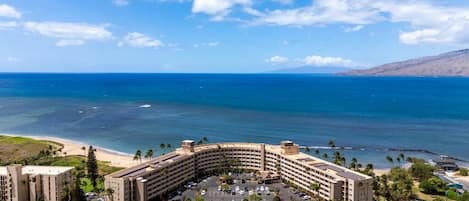 A hotel with a curved building, a parking lot, and a beach view.