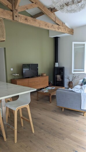 Smart-TV, Kamin