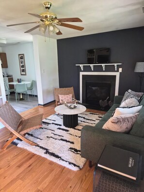 Smart TV, fireplace, DVD player, books