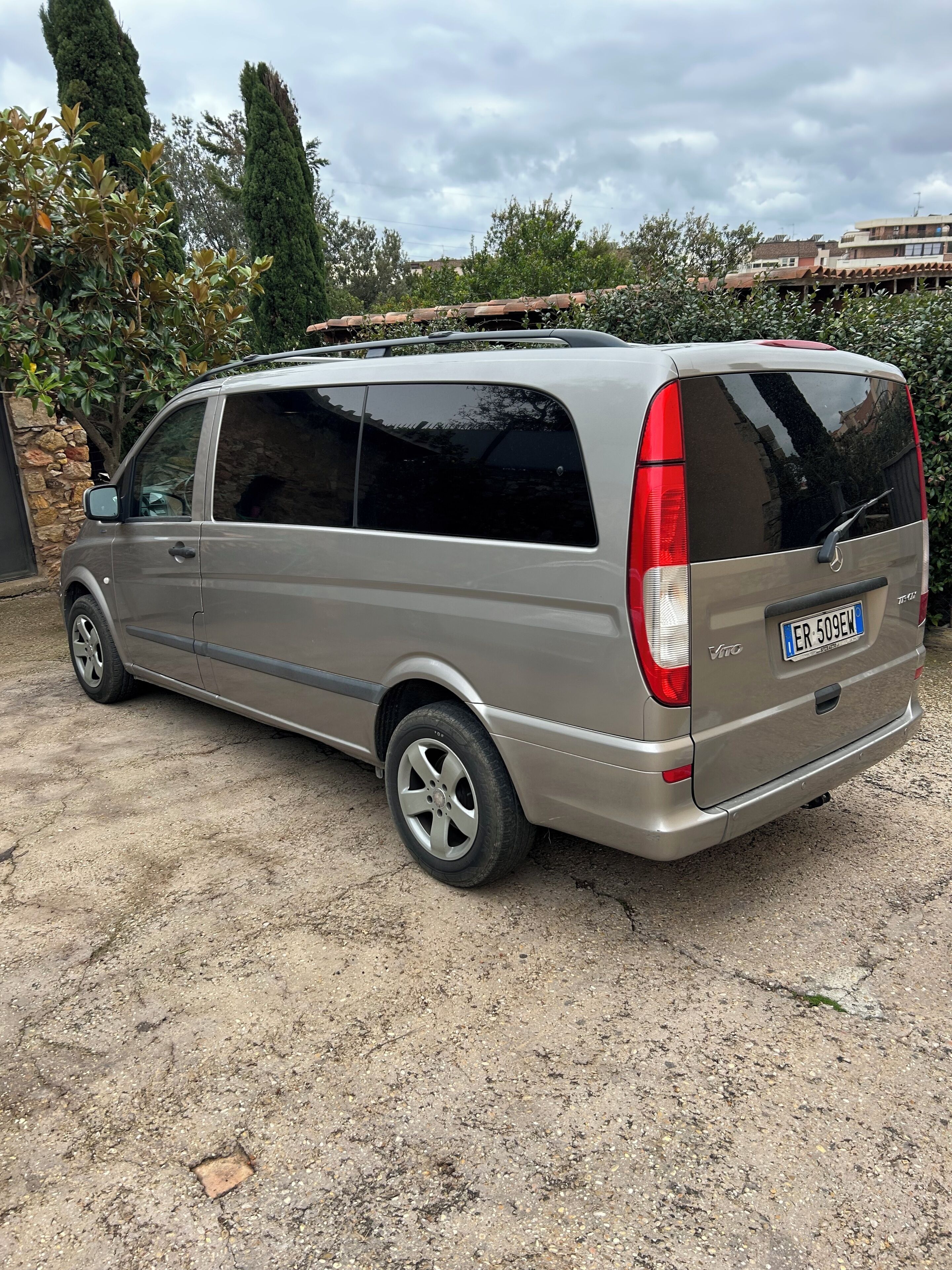 Photo - Stella di Mare