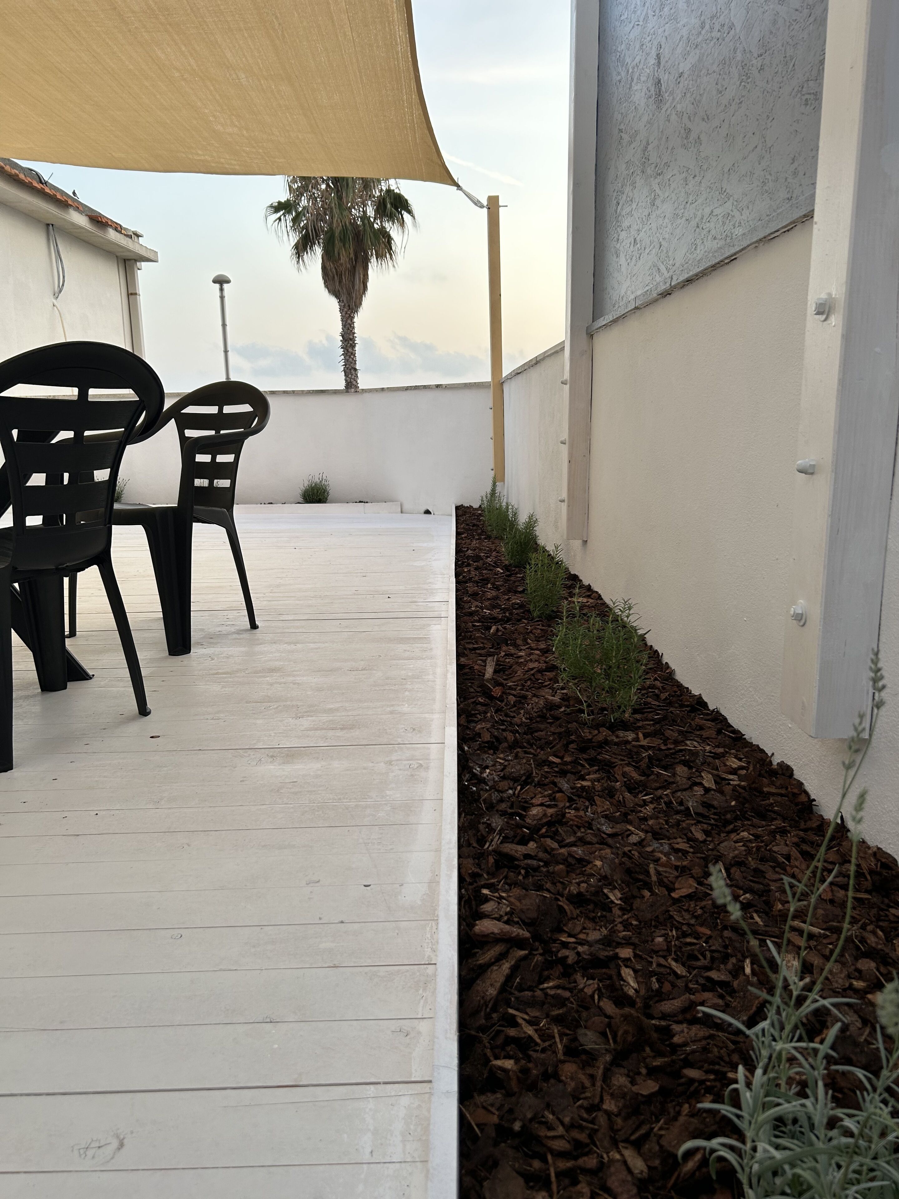 Photo - Stella di Mare