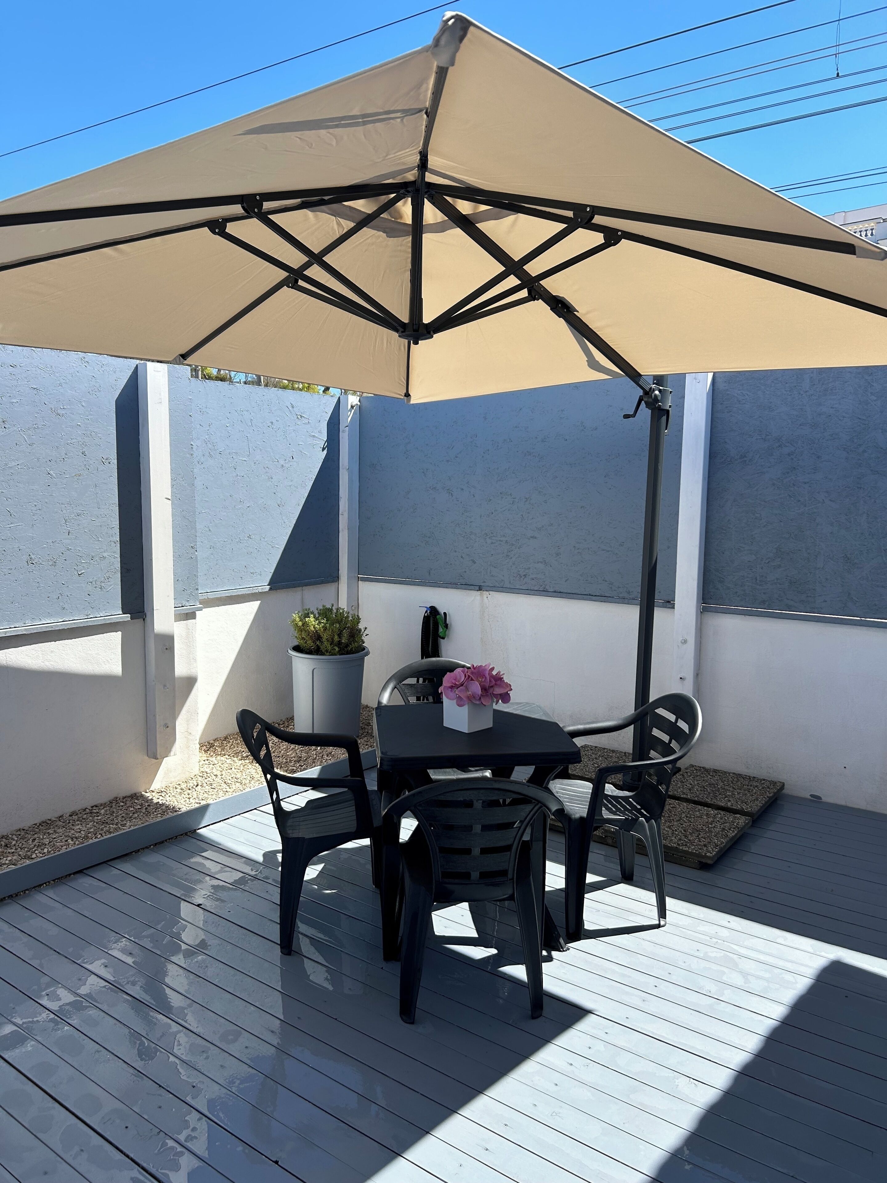 Photo - Stella di Mare