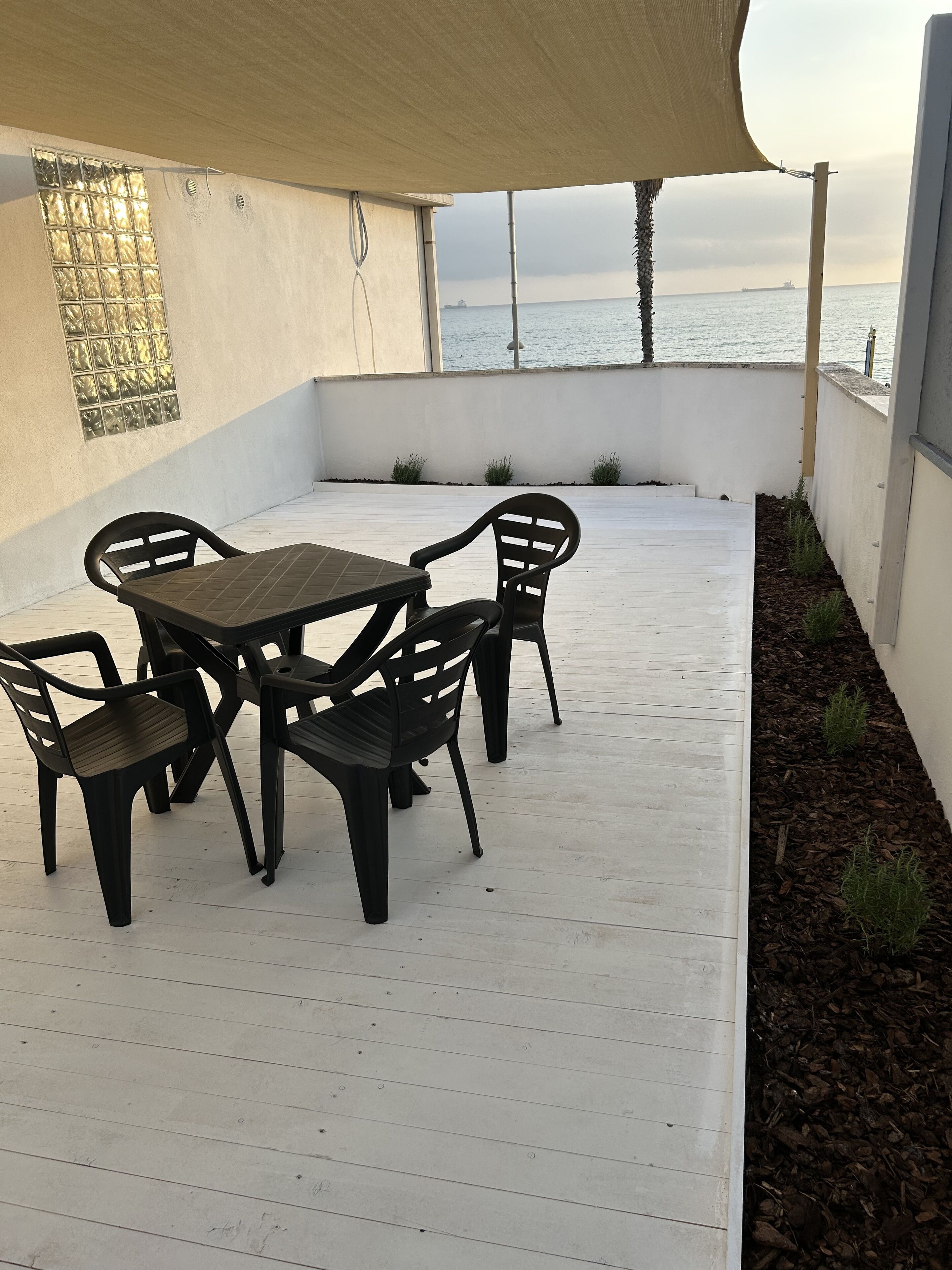 Photo - Stella di Mare