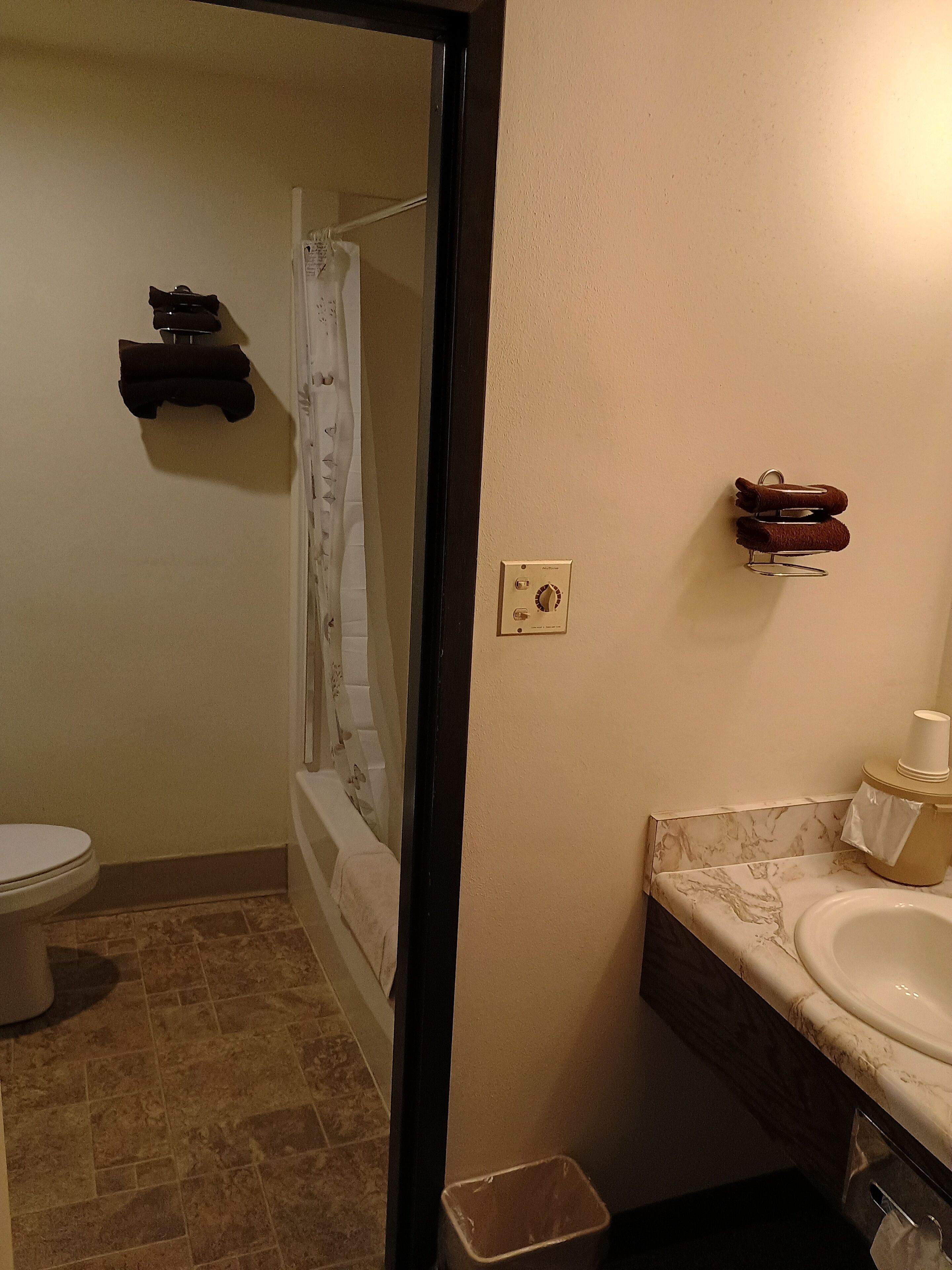 A bathroom with a toilet, sink, and shower.