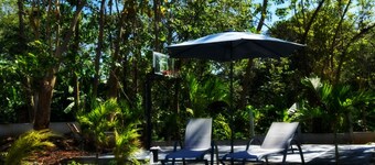 Comfort in the Jungle