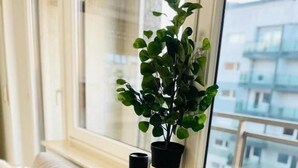 Ein beiges Sofa mit Kissen, einer Topfpflanze und einem kleinen schwarzen Behälter an einem Fensterbrett.