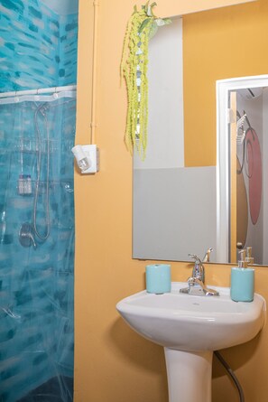 Shower, hair dryer, towels, soap