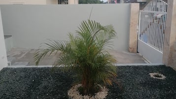 Ngoại thất