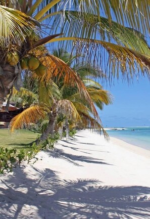 A beach with palm trees and a clear blue sky. - Ocean Blue Villa with private pool at Flic-en-Flac (Flic en Flac)