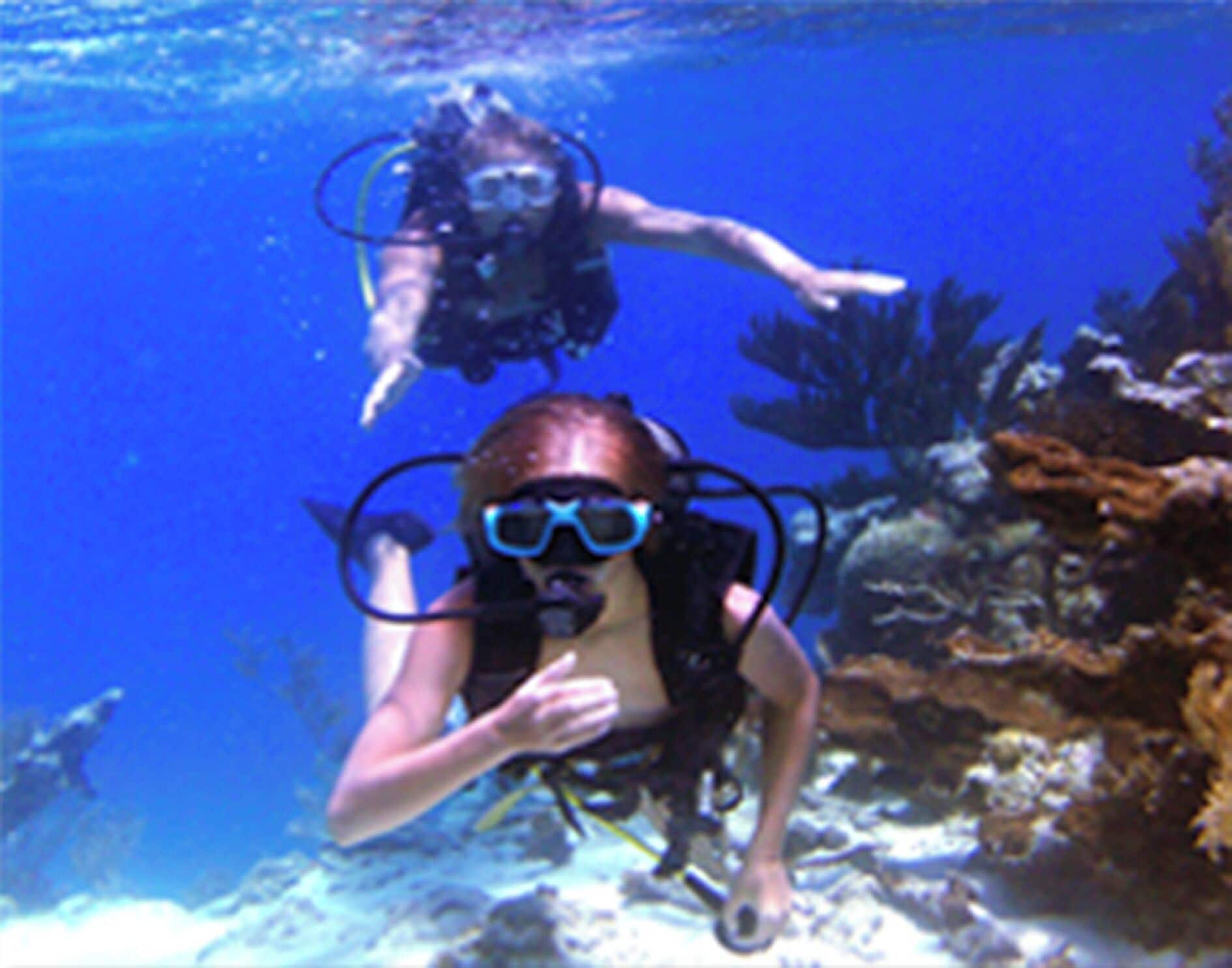 Foto - Corales Punta Rusia