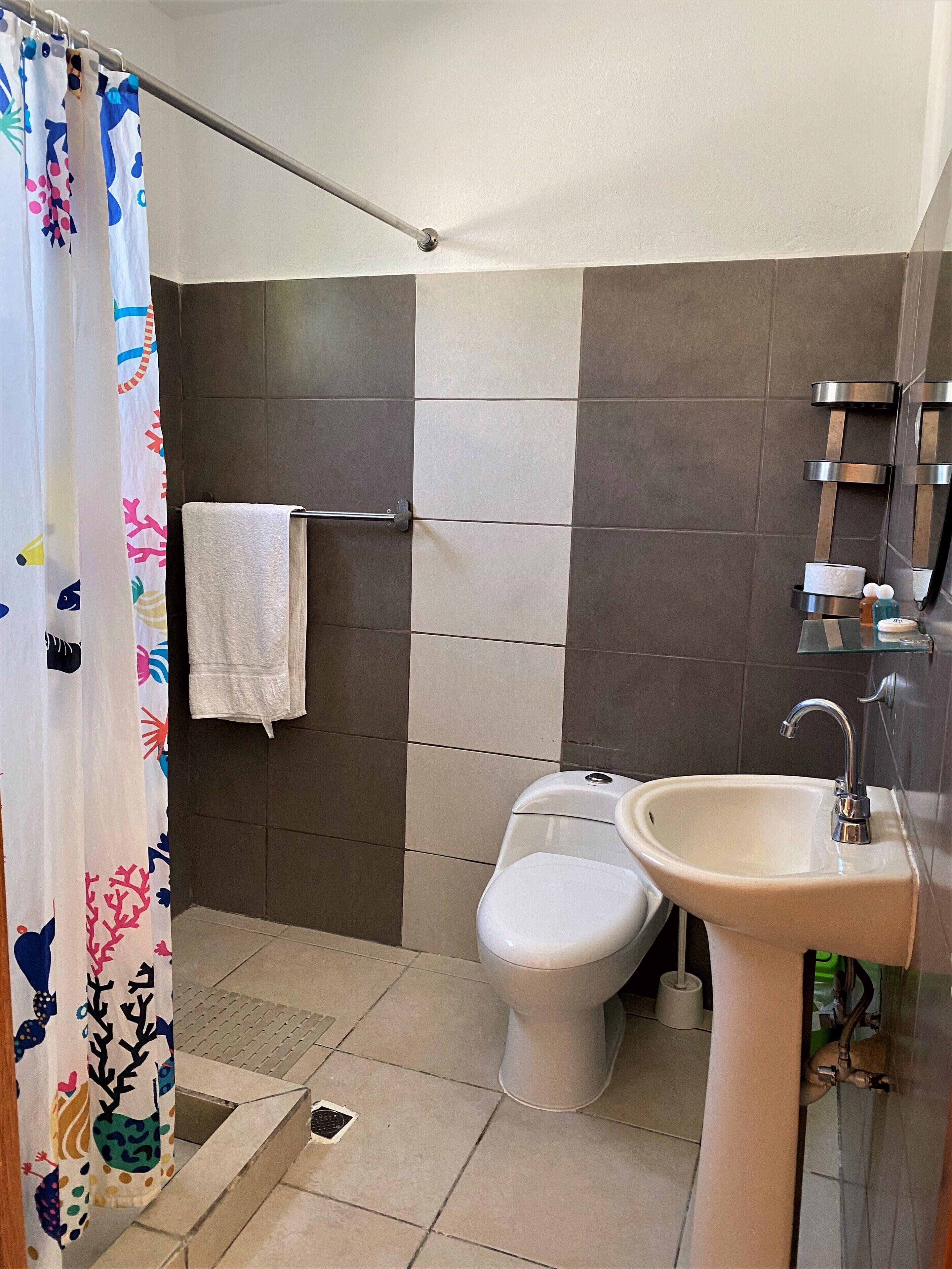 Foto - Corales Punta Rusia