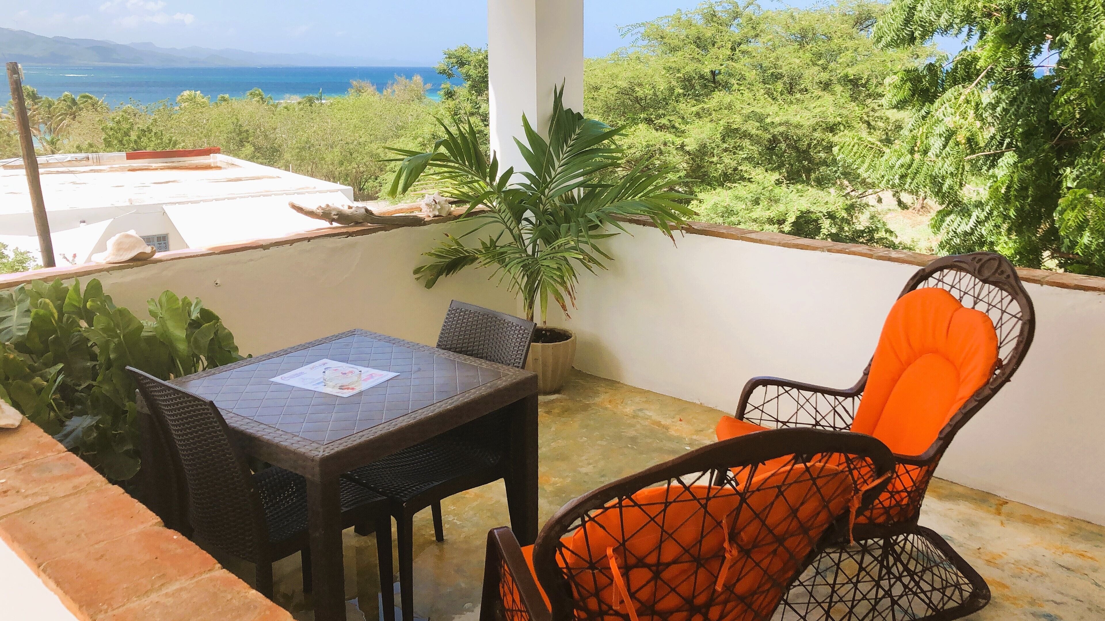 Foto - Corales Punta Rusia