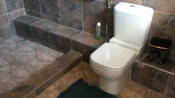 Shower, towels, soap, shampoo