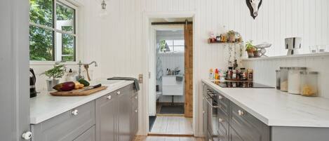 Fridge, oven, stovetop, dishwasher