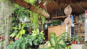 A rustic outdoor area with a wooden structure, potted plants, and a bamboo pole. - Payag n' Kapitan, Experience Pinubre Living (Siquijor)