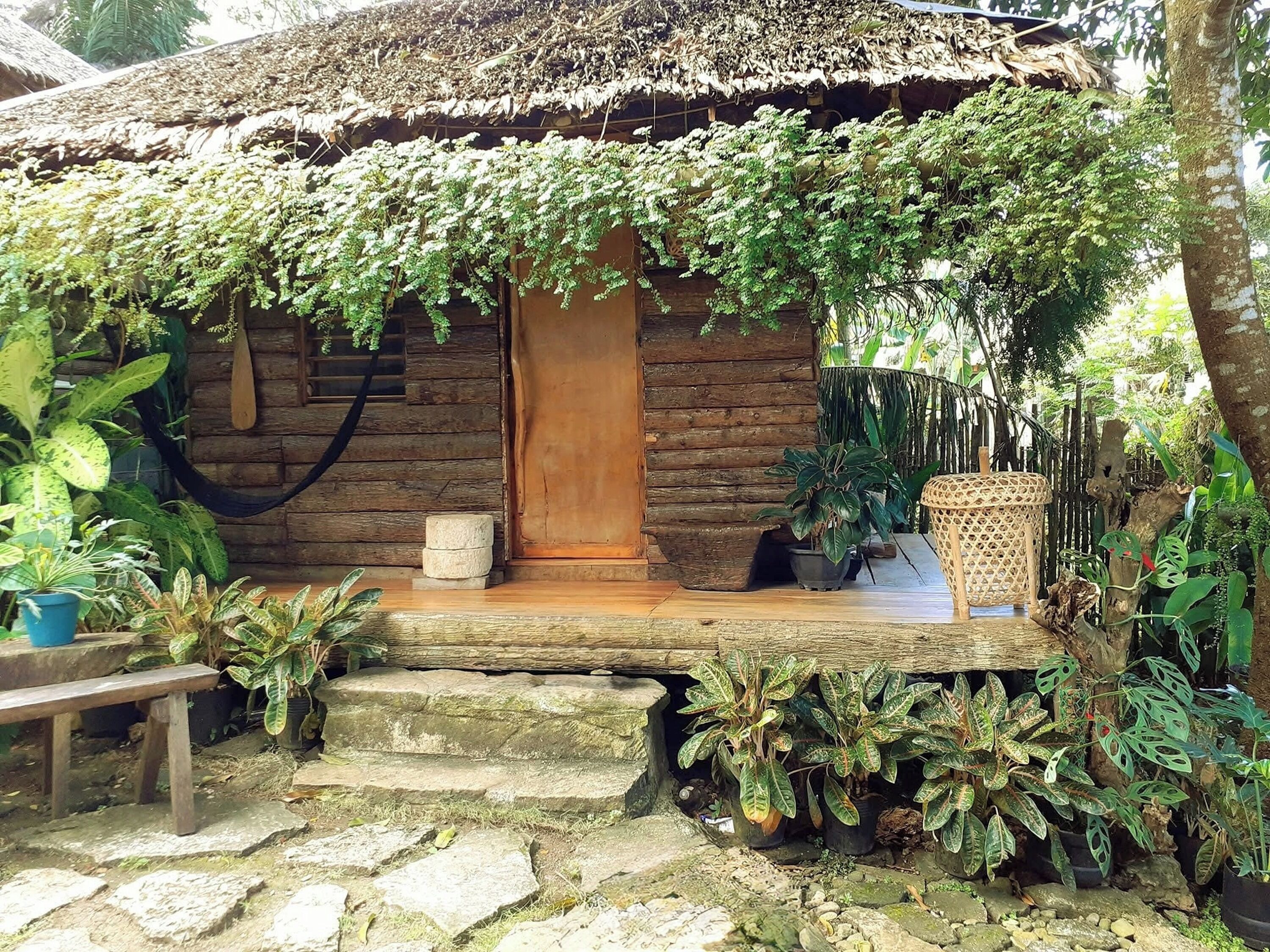 A rustic wooden cabin with a thatched roof, surrounded by lush greenery and potted plants.
