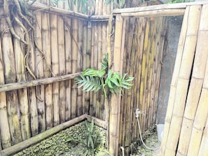 A bamboo fence with a plant in the foreground and a hose connected to a faucet.