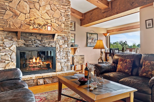 TV, fireplace