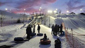 A snowy slope with people and sleds, a wooden staircase, and street lamps. - Brand New Modern Luxury Villa (London)