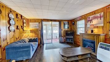 TV, fireplace, books