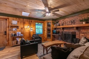 Televisión, chimenea y reproductor de DVD 