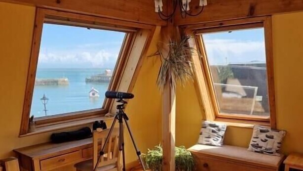 A cozy room with wooden walls and floors, large windows with a view of the sea, a desk with a tripod, and a bench with cushions.