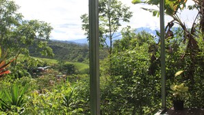 A lush garden with a variety of plants and a wooden structure. - Cabañas Colibrí Tayutic (Tayutic)