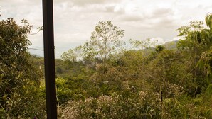 A view from a covered balcony overlooking a lush, green landscape with dense vegetation and trees. - Cabañas Colibrí Tayutic (Tayutic)
