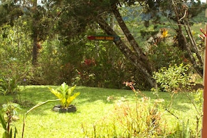 Exterior - Cabañas Colibrí Tayutic (Tayutic)
