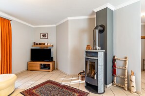 テレビ、暖炉、DVD プレーヤー、卓球台