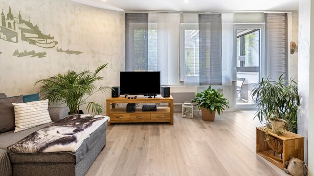 A living room with a flat-screen TV on a wooden TV stand, a sofa, and potted plants. - Premium Apartment 'Für Traufgängerle' with Private Terrace, Garden & Infrared Cabin (Albstadt)