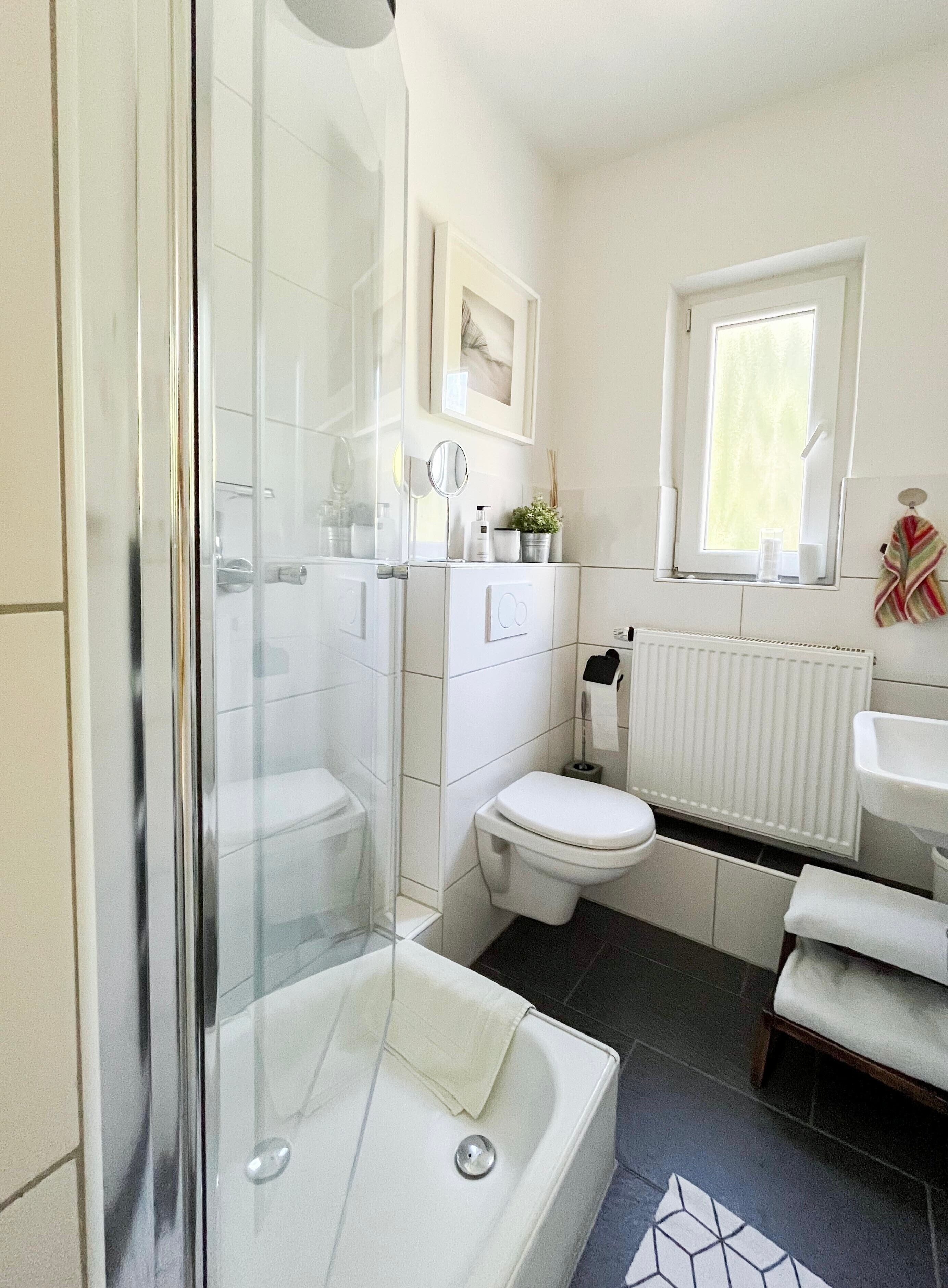 Shower, hair dryer, towels