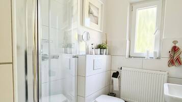 Shower, hair dryer, towels