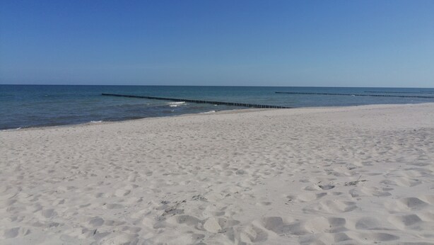 En sandstrand med klarblå himmel og rolig hav.