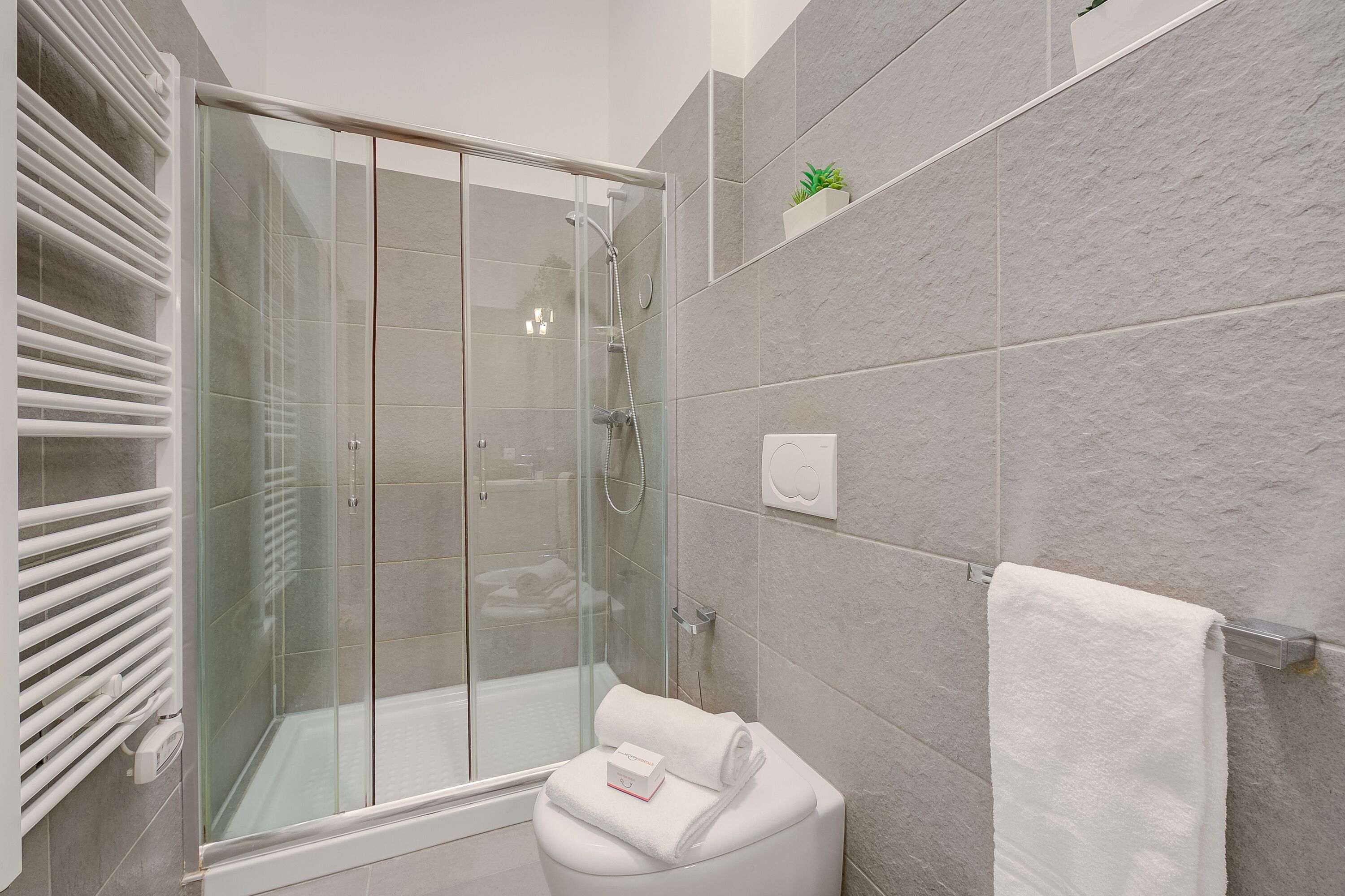 Shower, hair dryer, bidet, towels