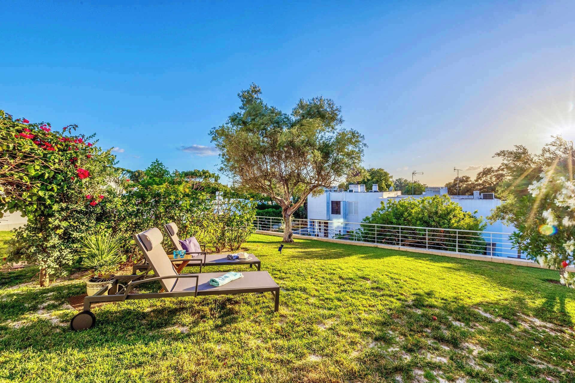 テラス / パティオ