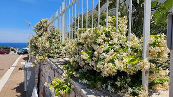 Vila | 3 kamar tidur