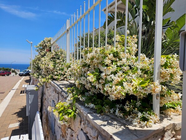 Villa | 3 bedrooms - Residenza Lamandia in Capitolo (Monopoli)