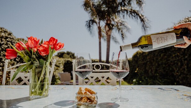 A table with two wine glasses, a bottle of wine, a vase with red flowers, and a bowl of snacks.