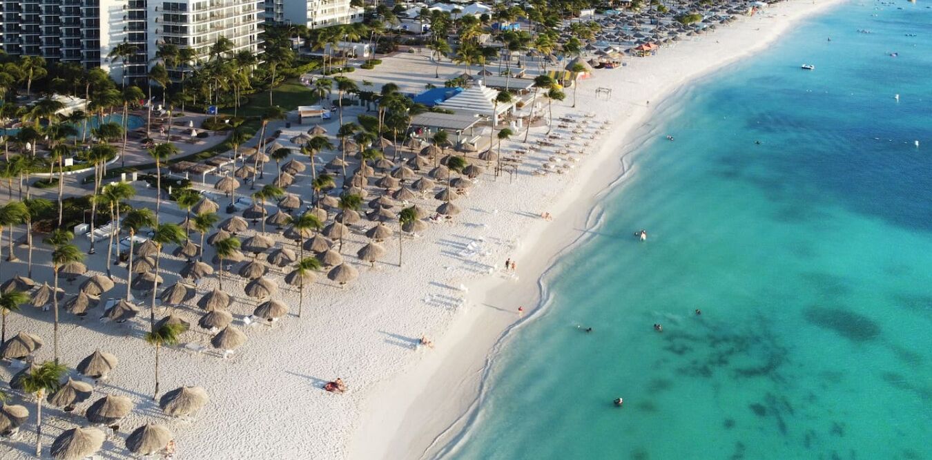 A beach resort with rows of palm trees, a sandy beach, and a clear blue ocean.