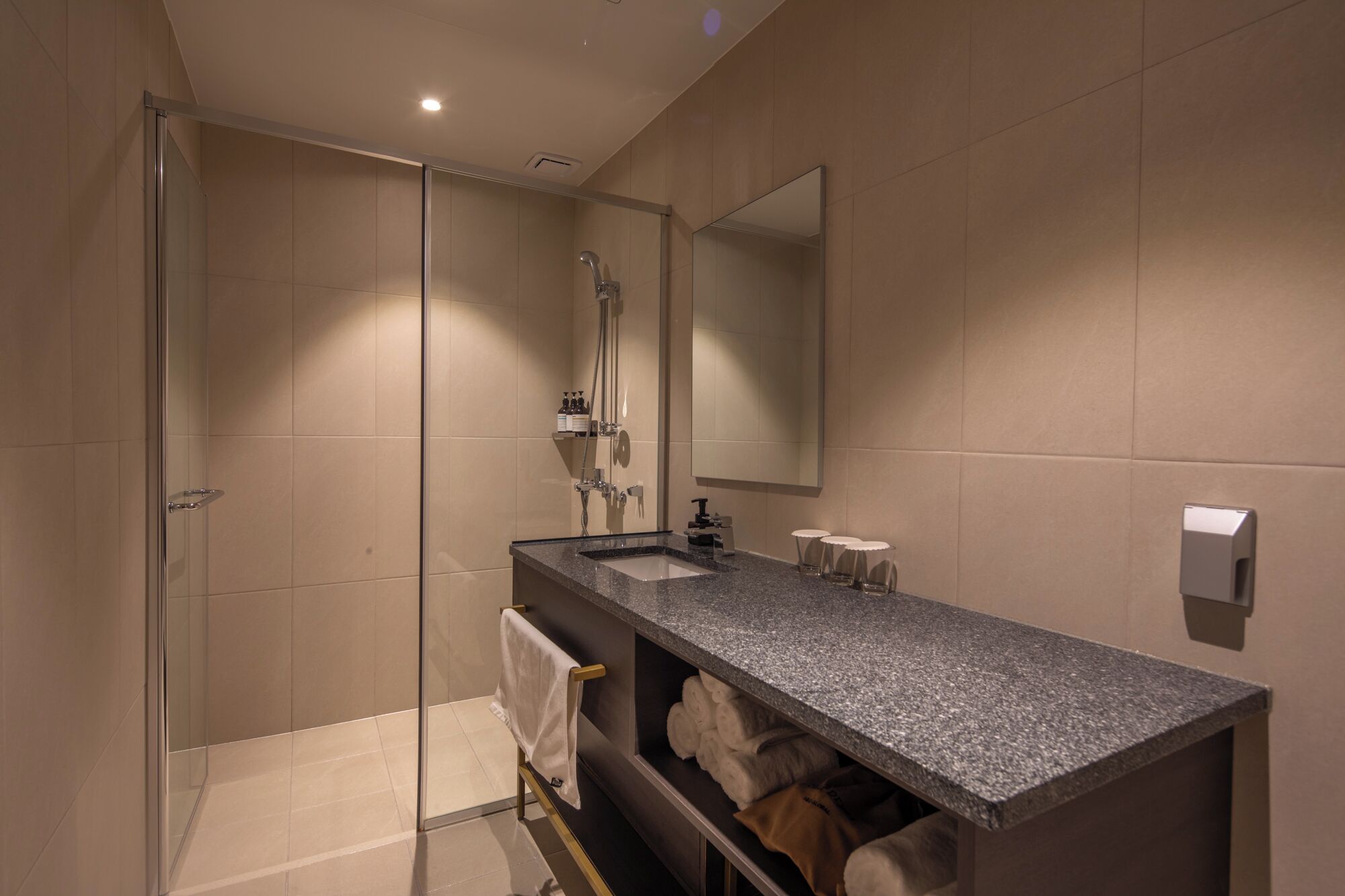 Une salle de bain moderne avec une douche à parois de verre, un lavabo sur un plan de travail en granit et un grand miroir.