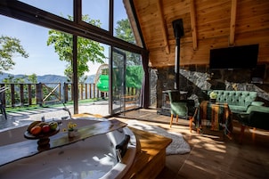 Deluxe Twin Room, 2 Bedrooms | Living area | 60-inch flat-screen TV with satellite channels, TV